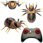 T/K Αναρριχητική Αράχνη