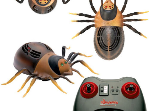 T/K Αναρριχητική Αράχνη