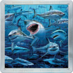 Τρισδιάστατο Μαγνητικό Πάζλ με Καρχαρίες