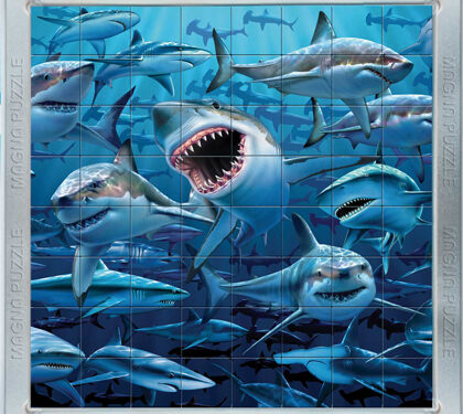 Τρισδιάστατο Μαγνητικό Πάζλ με Καρχαρίες