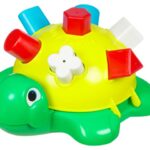 Τρυποχελώνα