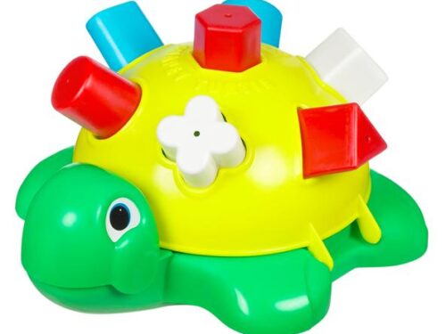 Τρυποχελώνα