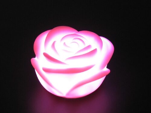 <?xml version="1.0" encoding="utf-8"?> <!DOCTYPE html PUBLIC "-//W3C//DTD XHTML 1.0 Transitional//EN" "http://www.w3.org/TR/xhtml1/DTD/xhtml1-transitional.dtd"> <html lang="en" xml_lang="en"> <head> <title>Untitled document</title> <meta http-equiv="Content-Type" content="text/html; charset=utf-8" /> </head> <body> <strong>Led Rose </strong>With<strong> 7 different Colors.<br /></strong><br /><br />This <strong>LED Rose </strong>is very beautiful for your desk