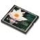 Untitled document CF 8GB Kingston COMPACT FLASH (CF/8GB) Retail