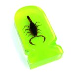 Untitled document Dekoration Skorpion MiniProduct descriptionSpecificationsHeight approx 8cm