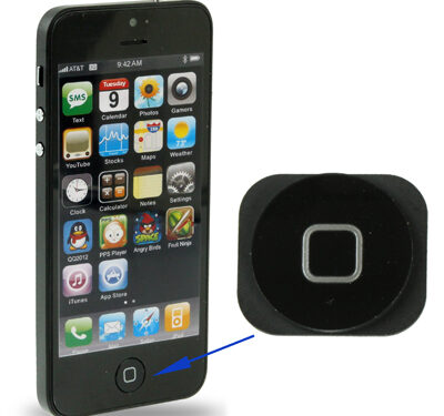 <?xml version="1.0" encoding="utf-8"?> <!DOCTYPE html PUBLIC "-//W3C//DTD XHTML 1.0 Transitional//EN" "http://www.w3.org/TR/xhtml1/DTD/xhtml1-transitional.dtd"> <html lang="en" xml_lang="en"> <head> <title>Untitled document</title> <meta http-equiv="Content-Type" content="text/html; charset=utf-8" /> </head> <body> <h3>Overview :<br /></h3> <strong>1) </strong>Home Button for <u>iPhone 5 </u><br /><br /><strong>2)</strong> Color: <strong>Black </strong> </body> </html>